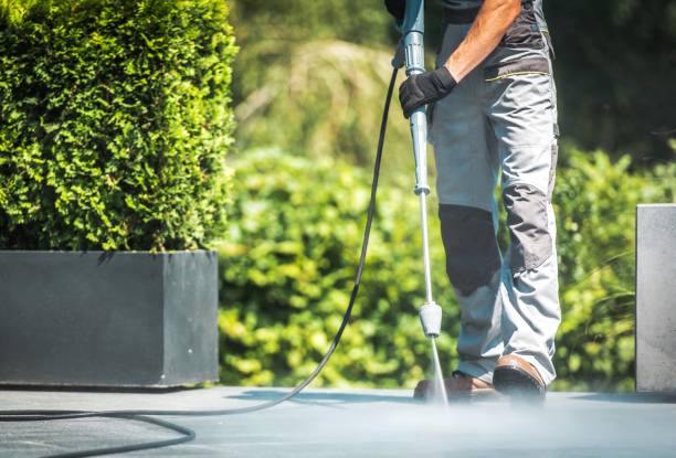 Best Animal Enclosure Cleaning  in Macungie, PA
